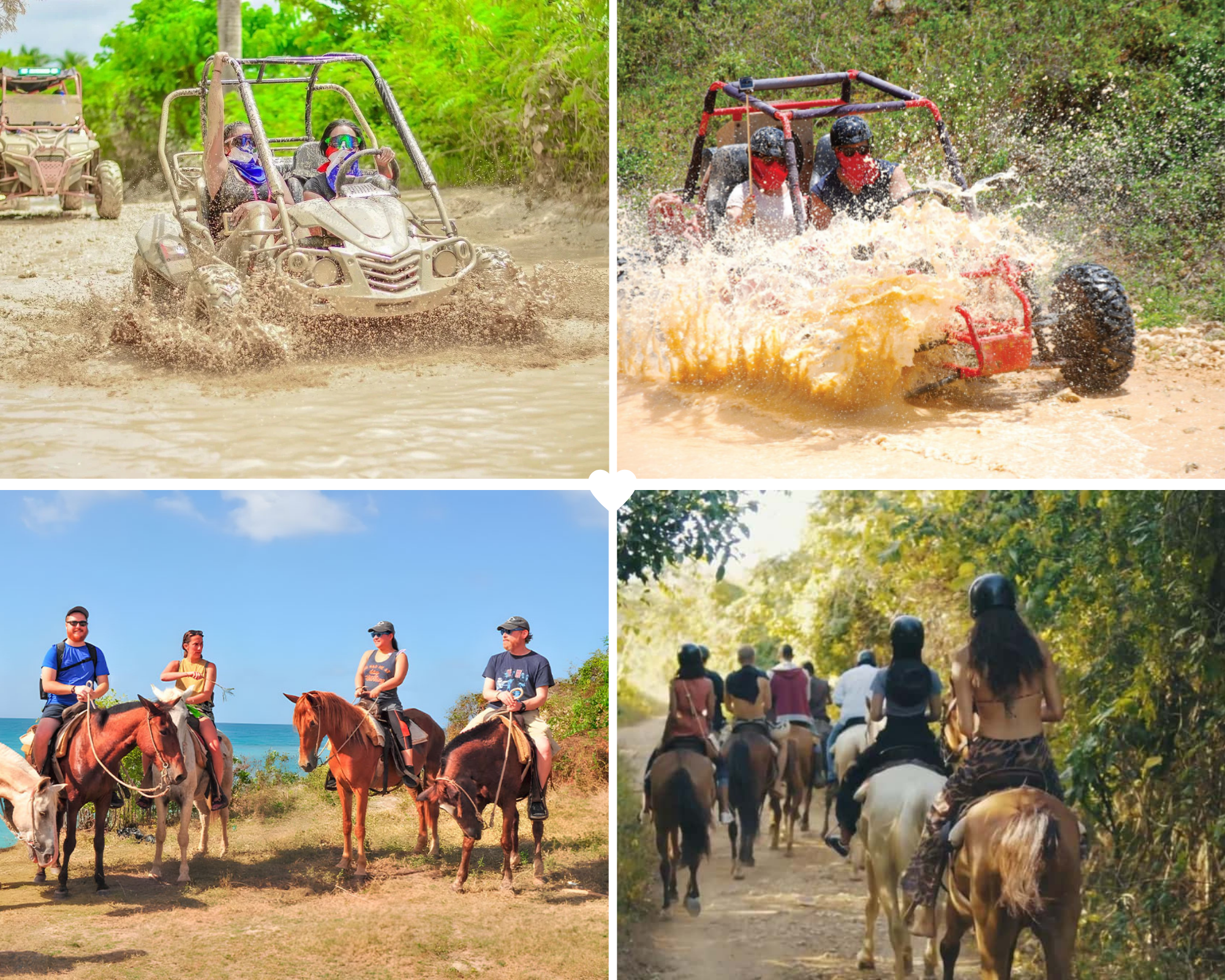 Buggy + Horseback Riding