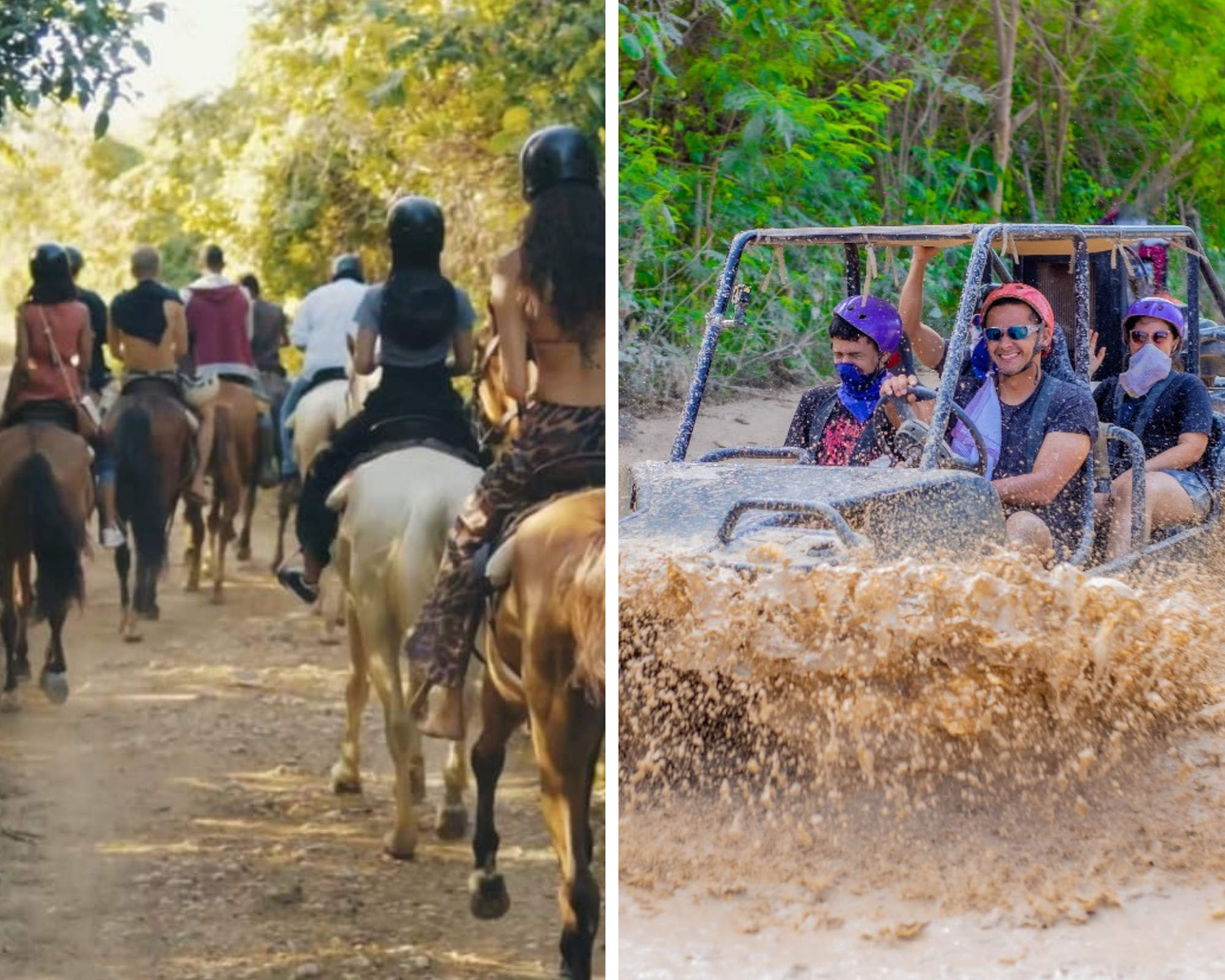 Buggy + Horseback Riding