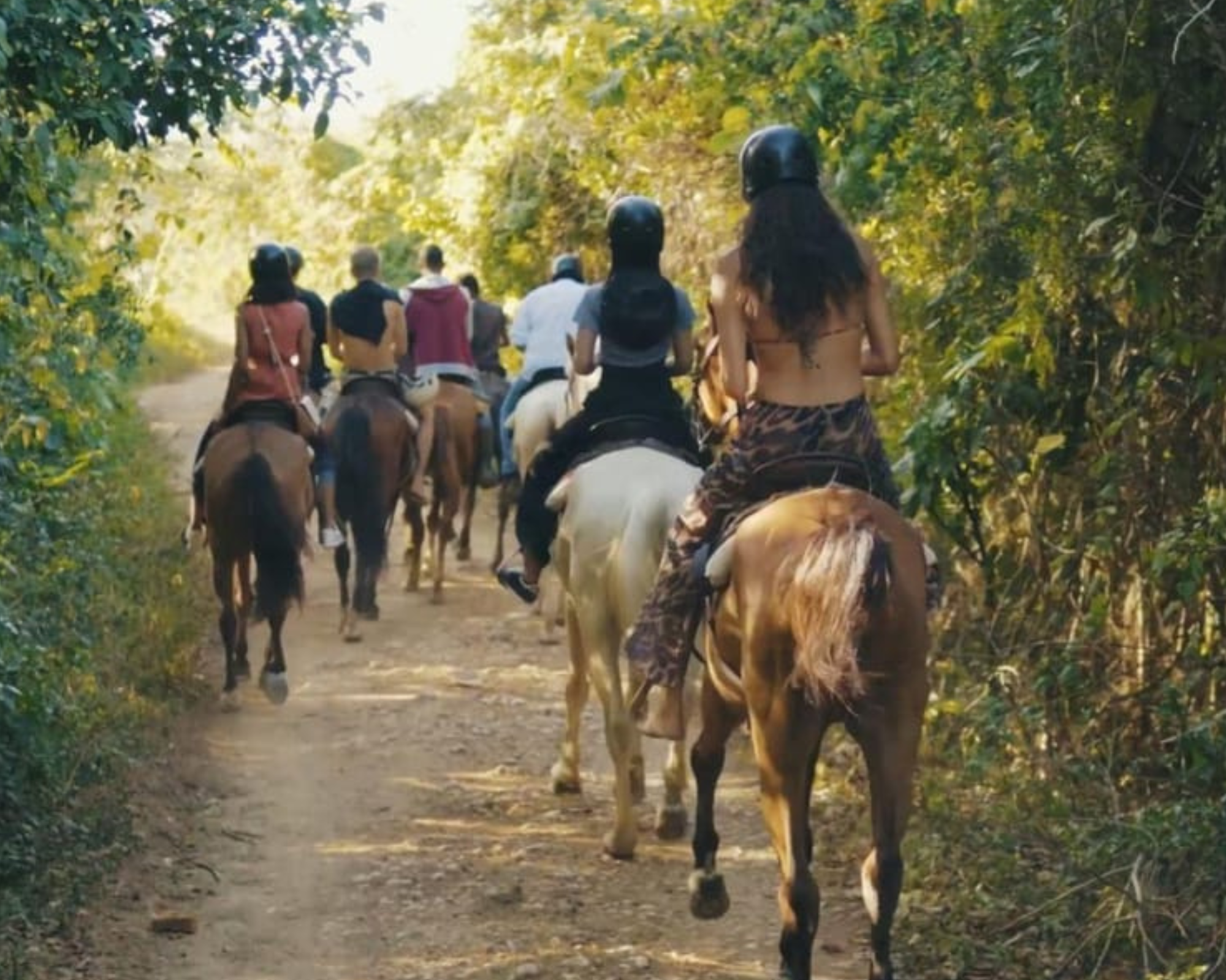 Horseback Riding Tour
